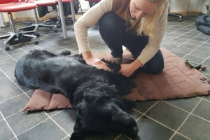 Massage